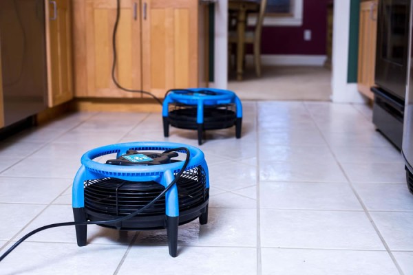Sewage and Water Damage Restoration