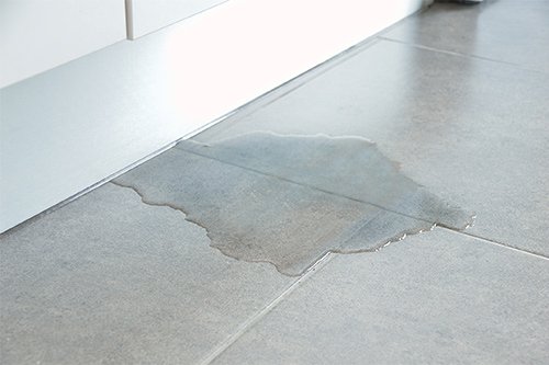 Tips To Prevent Water Damage from Leaking Appliances