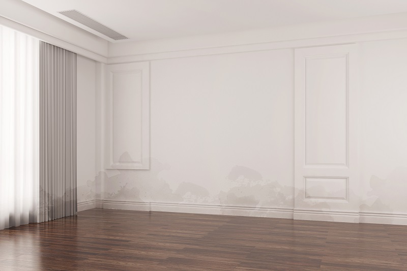 How To Determine The Age Of A Water Damage Problem