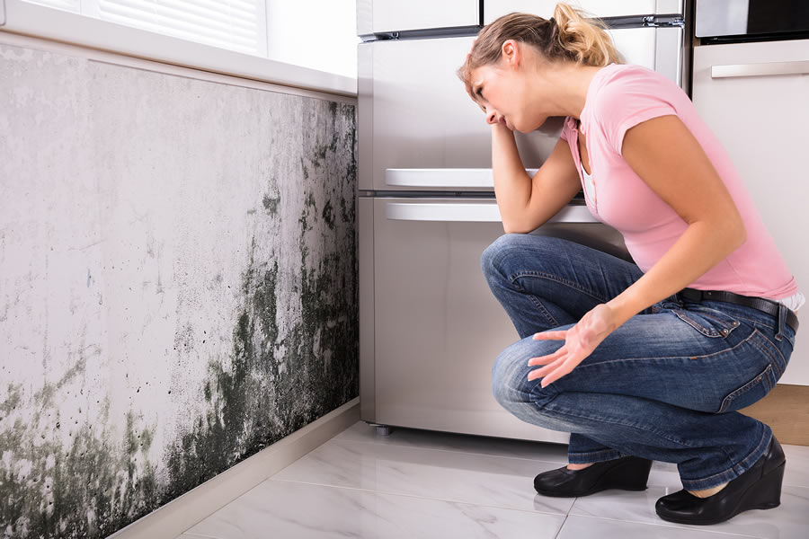 11 Ways Mold Spread In Your Home