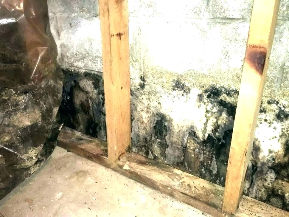 How to Get Rid of a Musty Smell in Your Basement
