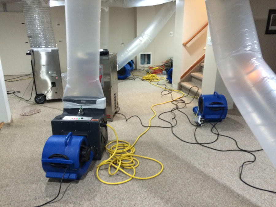 Health Risks of Untreated Water Damage