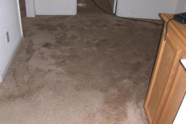 Essential Practices of Home Water Damage Prevention
