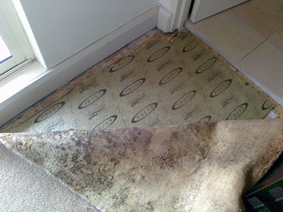 Should You Replace Your Carpets During Water Damage Restoration?