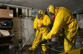 Reasons You Should Not Delay Water Damage Cleanup
