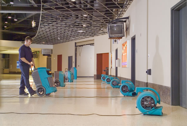 What Happens Throughout the Water Damage Removal Process?