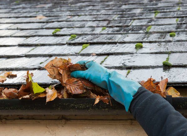 How to Prepare Your Home for Fall and Winter